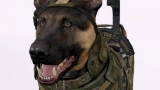 Le missioni sottomarine e un cane sono i protagonisti della demo E3 di Call of Duty Ghosts