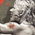 bitComposer riporta in vita Jagged Alliance