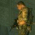 Rivelati i requisiti di sistema di Spec Ops The Line