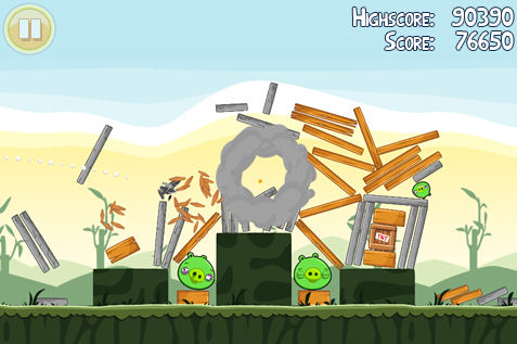 birdse