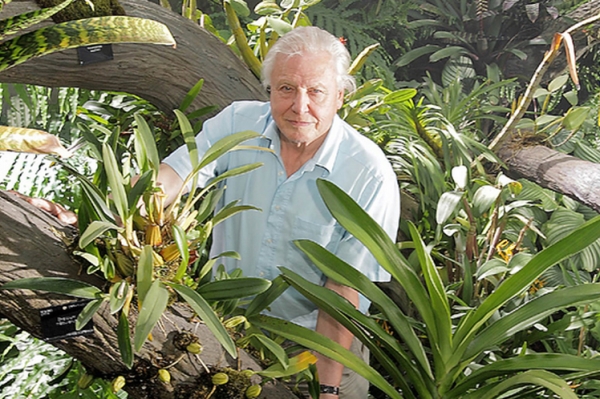 Sir David Attenborough