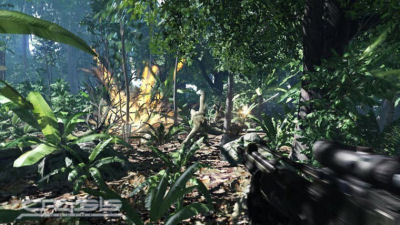 Crysis
