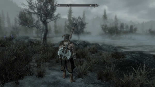 The Elder Scrolls V Skyrim