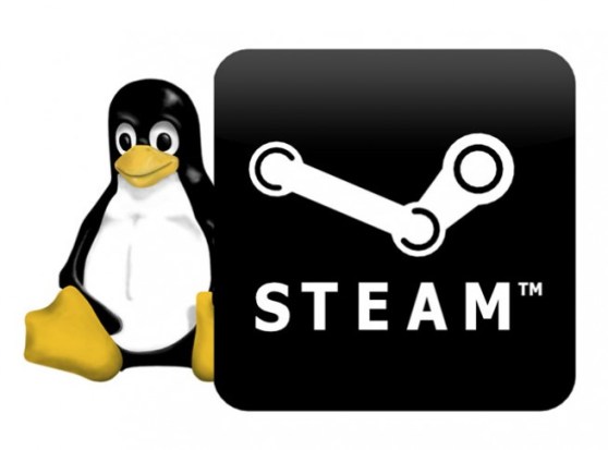 Steam