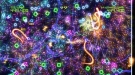 Geometry Wars Retro Evolved